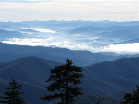 Webcam (U.S. National Park Service)